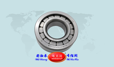 Cylindrical roller bearing 06.32609.0065圆柱滚子轴承NJ2308X3/YA