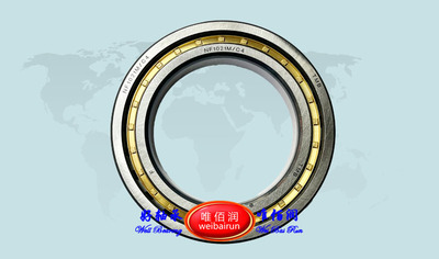 Cylindrical roller bearing NF1021M/C4 圆柱滚子轴承