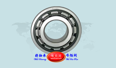 Cylindrical roller bearings AZ9003320309 圆柱滚子轴承 102309E NCL309E