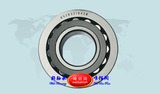 Cylindrical roller bearing BS2B321642B 圆柱滚子轴承