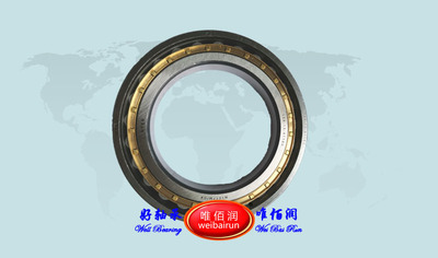 154-13-41160  Cylindrical roller bearing 圆柱滚子轴承