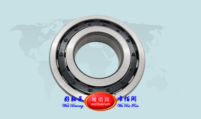 Cylindrical roller bearing NUP208E 圆柱滚子轴承